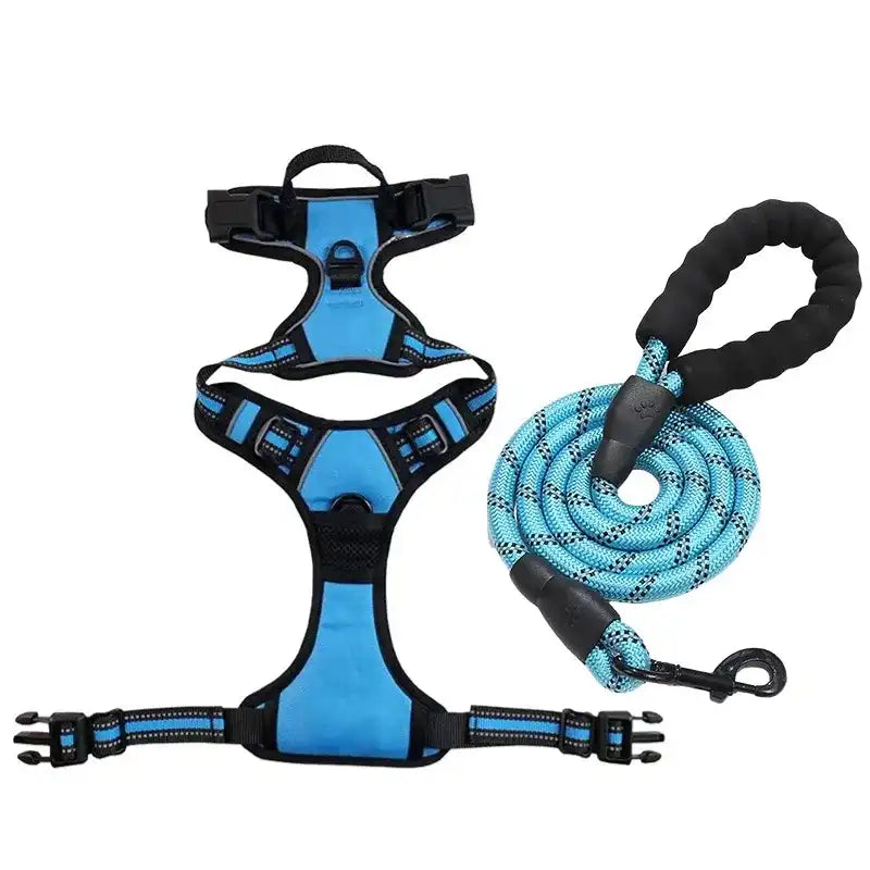 Blush Puppies Ultimate Heavy-Duty Harness & Leash Set