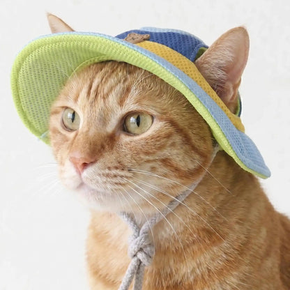 Breezy The Pet Hat
