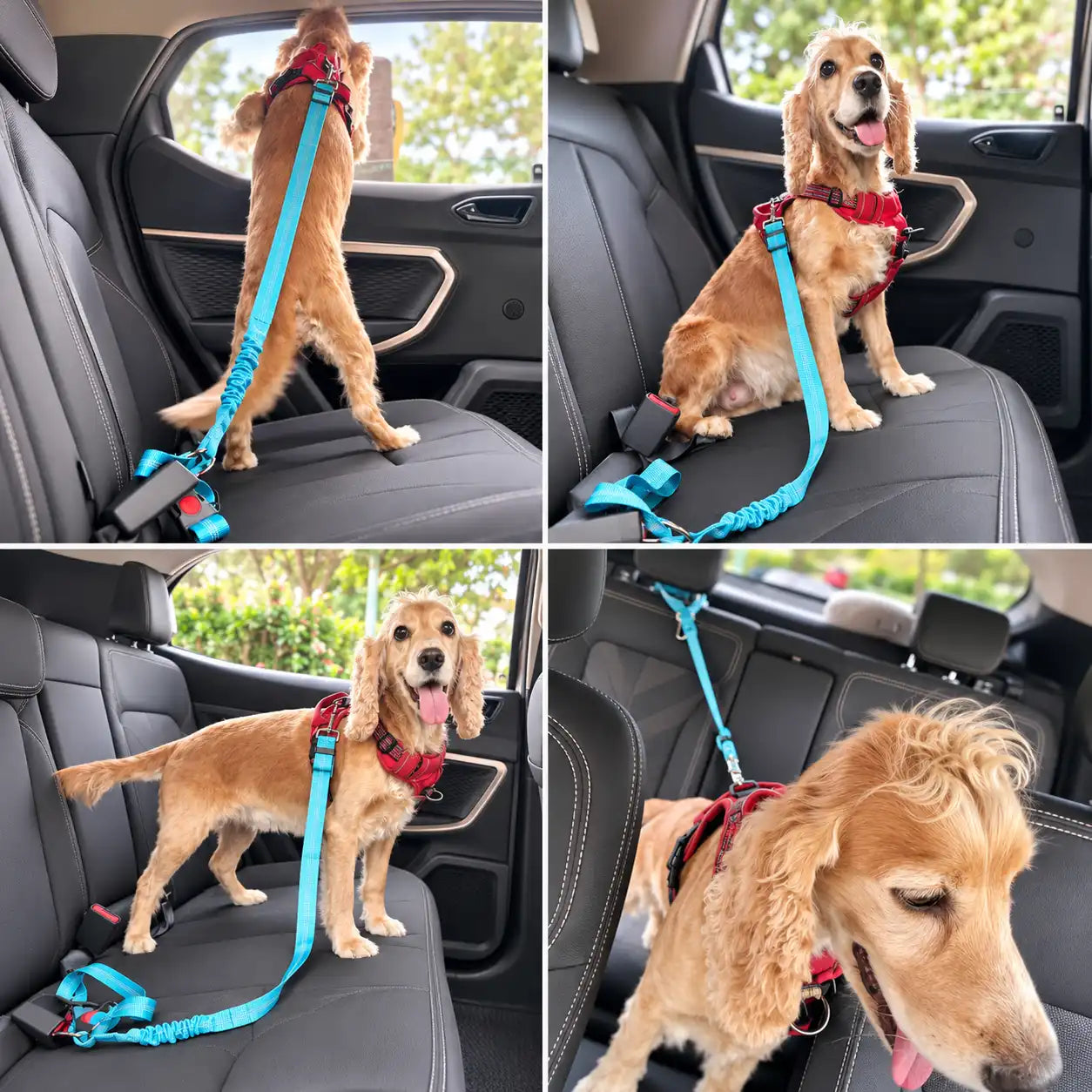 Pawssenger Multi-Use Dog Car Seat Belt