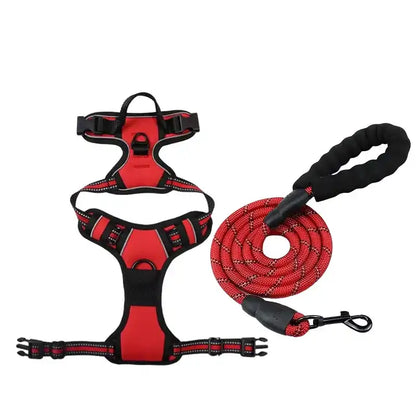 Blush Puppies Ultimate Heavy-Duty Harness & Leash Set