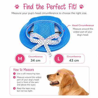 The Pretty Princess Hat