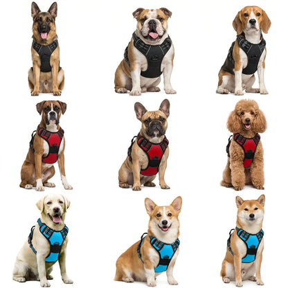 Blush Puppies Ultimate Heavy-Duty Harness & Leash Set
